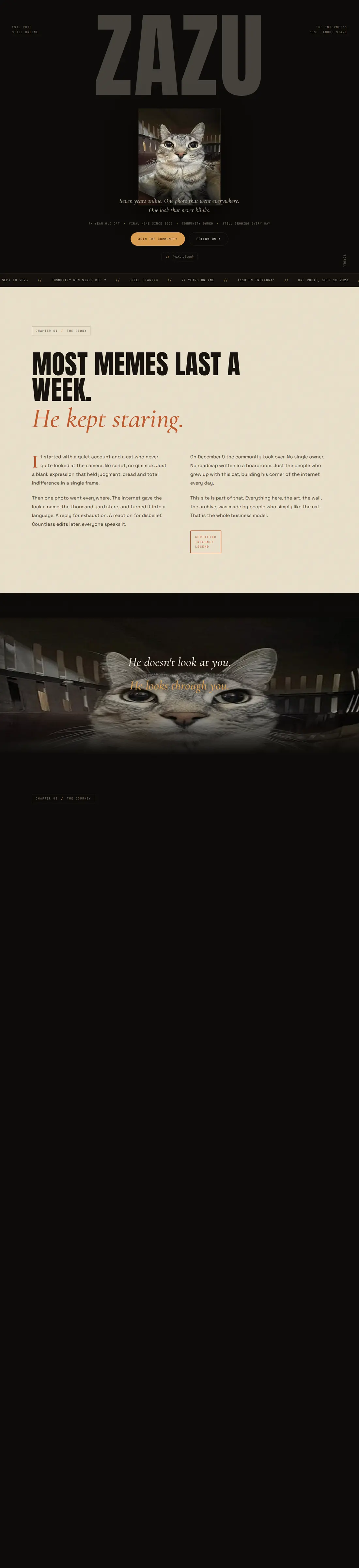The Zazu website, full page